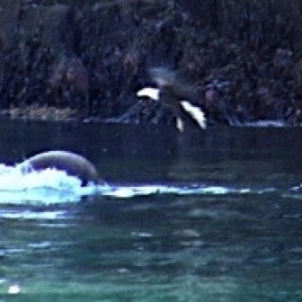 Screen Shot 2016-07-11 at 11.42.49 AM.jpg